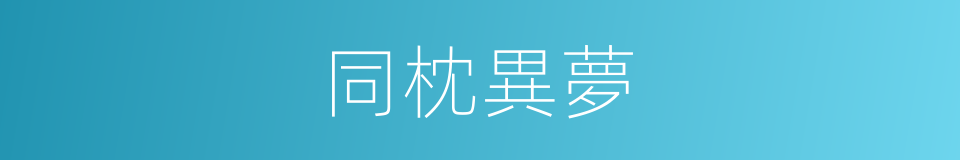 同枕異夢的意思