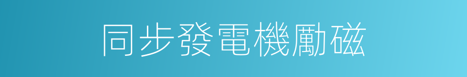 同步發電機勵磁的同義詞