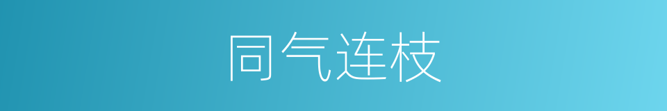 同气连枝的意思