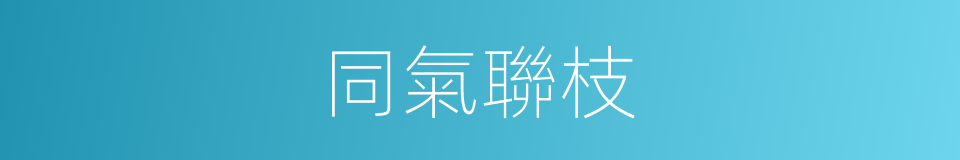 同氣聯枝的同義詞