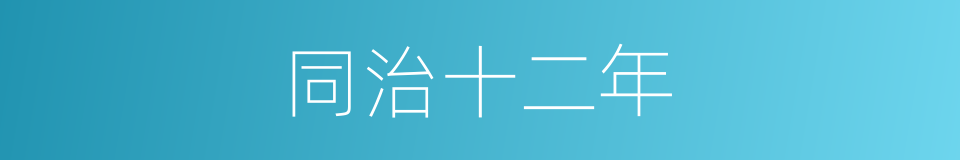 同治十二年的同义词