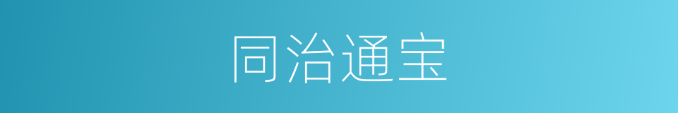 同治通宝的同义词