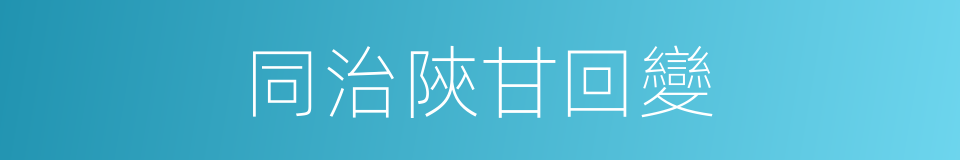 同治陝甘回變的同義詞