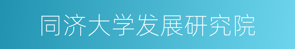 同济大学发展研究院的同义词