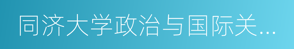 同济大学政治与国际关系学院的同义词