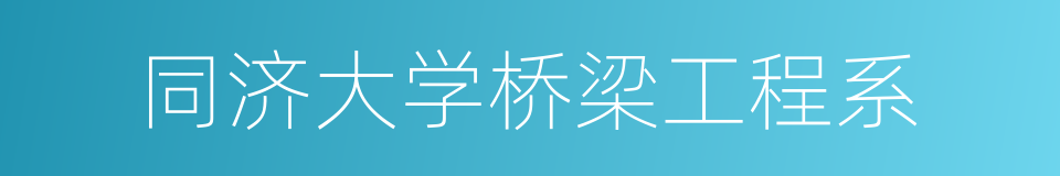 同济大学桥梁工程系的同义词