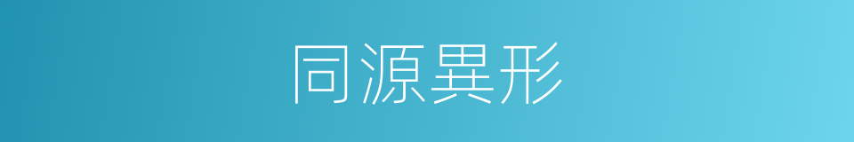 同源異形的同義詞