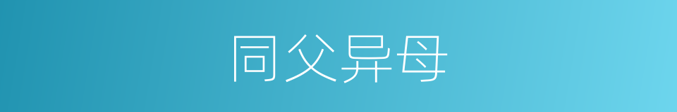 同父异母的同义词