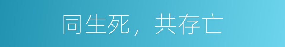 同生死，共存亡的同义词