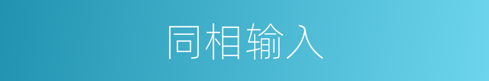 同相输入的同义词