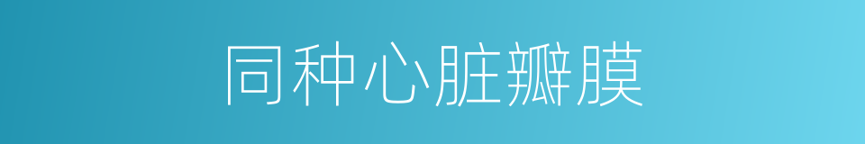 同种心脏瓣膜的同义词