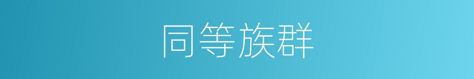 同等族群的同义词