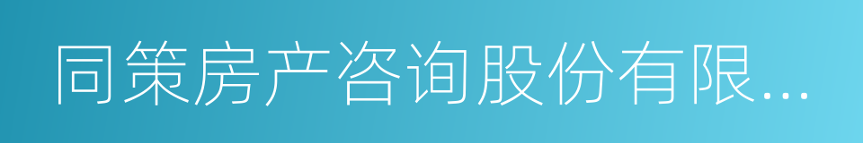 同策房产咨询股份有限公司的同义词