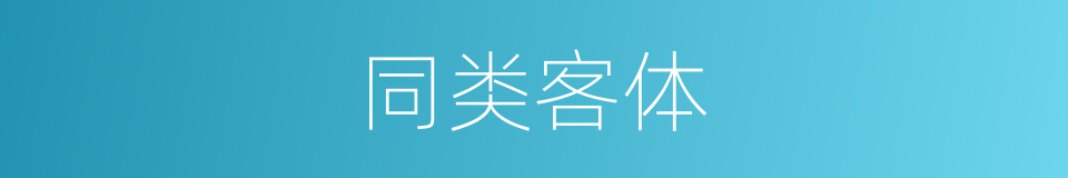 同类客体的意思