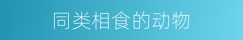 同类相食的动物的同义词