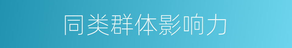 同类群体影响力的同义词
