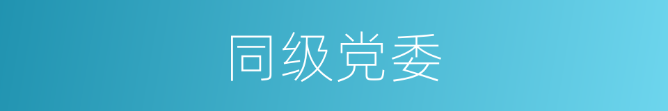同级党委的同义词