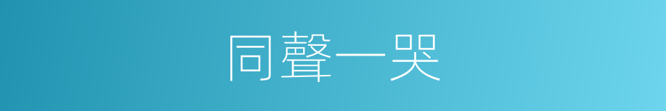 同聲一哭的同義詞