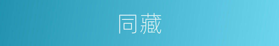 同藏的意思