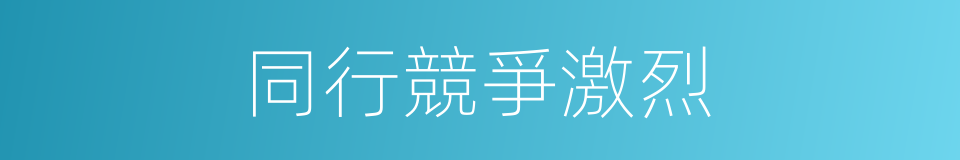 同行競爭激烈的同義詞