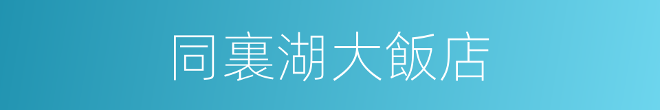 同裏湖大飯店的同義詞