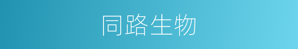 同路生物的同义词