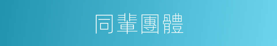 同輩團體的同義詞