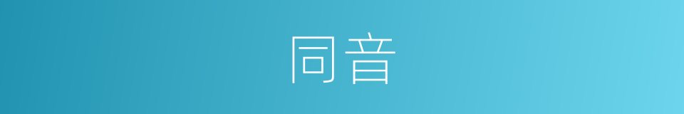 同音的意思