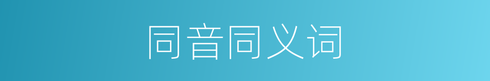 同音同义词的意思