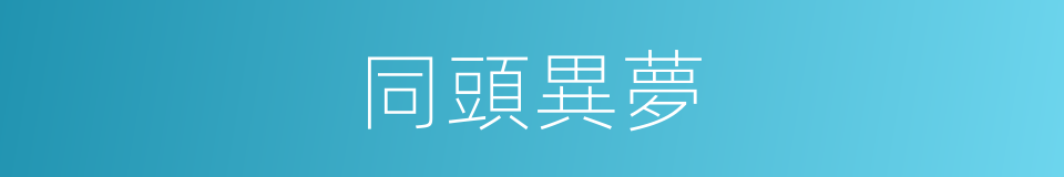 同頭異夢的同義詞