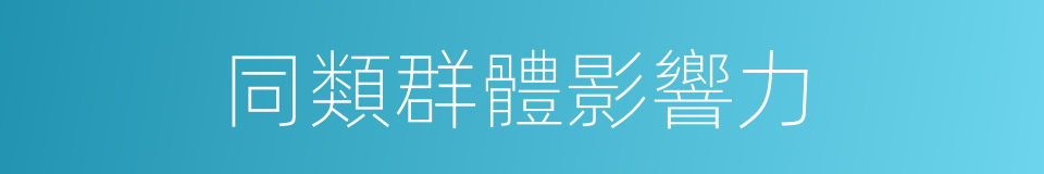 同類群體影響力的同義詞