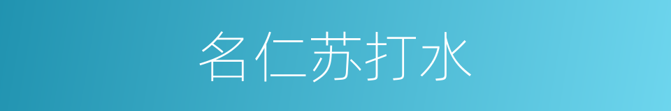 名仁苏打水的同义词