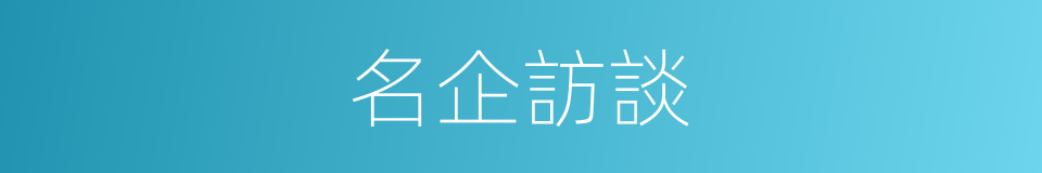 名企訪談的同義詞