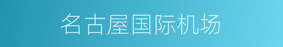 名古屋国际机场的同义词