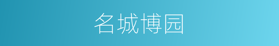 名城博园的同义词