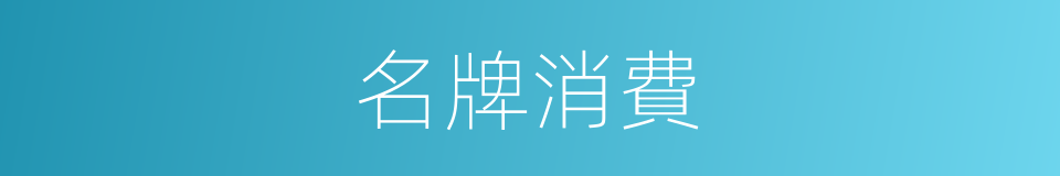 名牌消費的同義詞