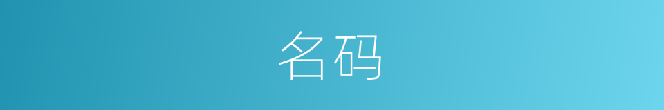 名码的同义词