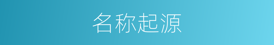名称起源的同义词