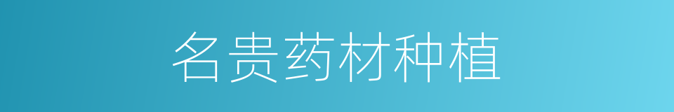 名贵药材种植的同义词