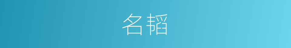 名韬的同义词