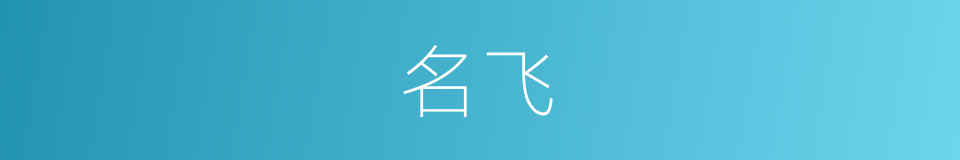 名飞的同义词