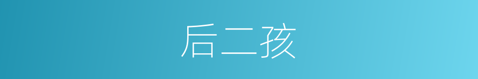 后二孩的同义词