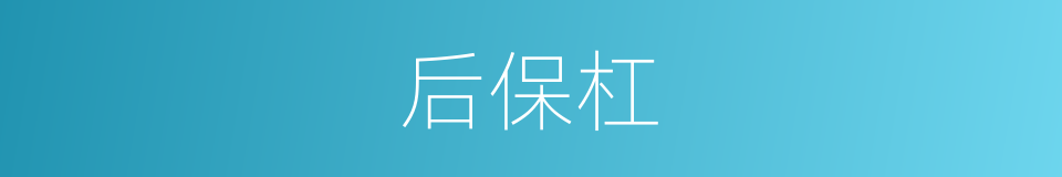 后保杠的同义词