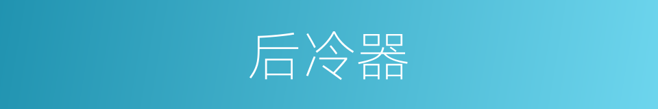 后冷器的同义词