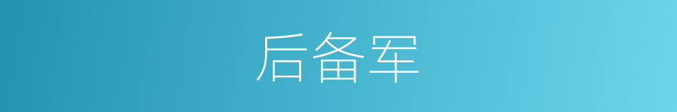 后备军的意思