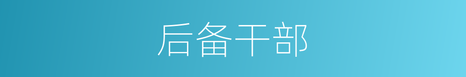 后备干部的同义词