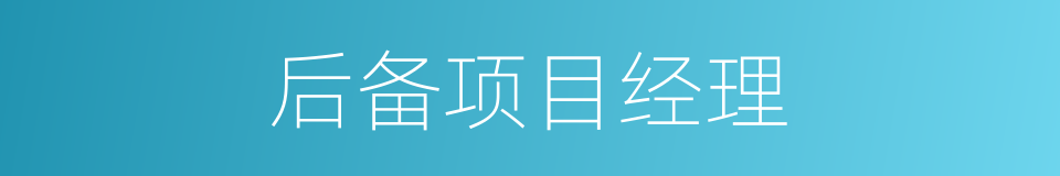 后备项目经理的同义词