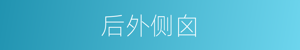 后外侧囟的同义词