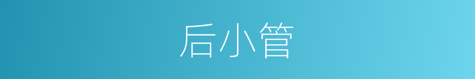 后小管的同义词