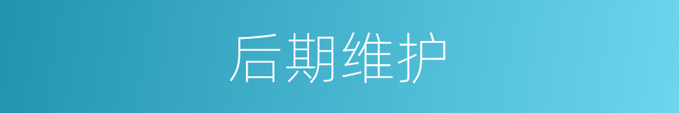 后期维护的同义词